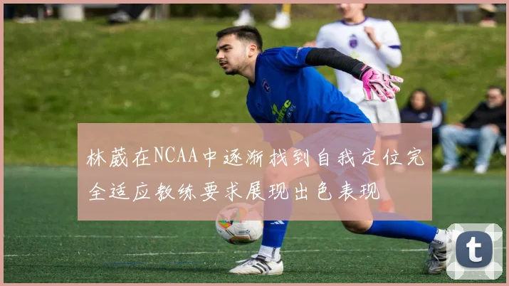 林葳在NCAA中逐渐找到自我定位完全适应教练要求展现出色表现